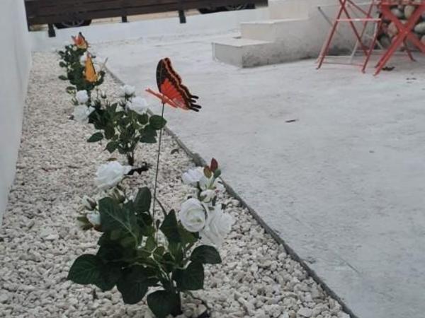 5 bedroom semi detached house for sale chrysopolitissa larnaca 7738325 image 10201190