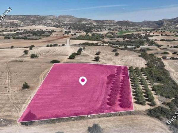 land for sale agios theodoros larnacas larnaca 8139325 image 15003517