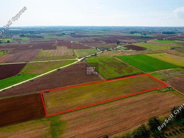 land for sale frenaros famagusta 7966325 image 14708151
