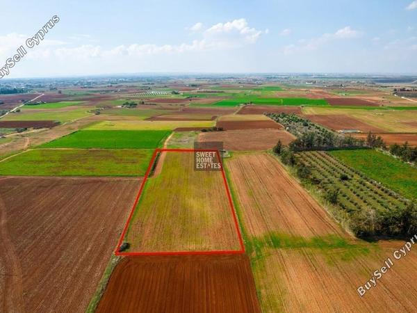 land for sale frenaros famagusta 7966325 image 14708154