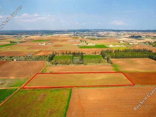 land for sale frenaros famagusta 7966325 image 14708157