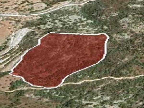land for sale koili paphos 1355325 image 5629859