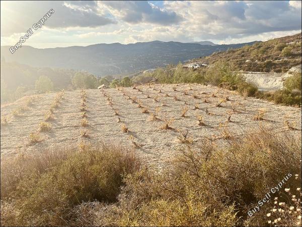 land for sale laneia limassol 8277425 image 13997873