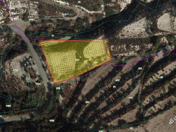 land for sale laneia limassol 8277425 image 13997875