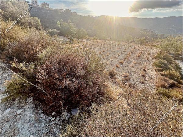 land for sale laneia limassol 8277425 image 13997876