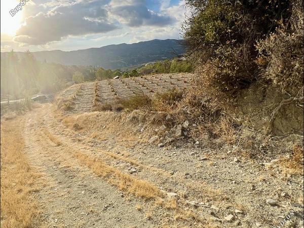 land for sale laneia limassol 8277425 image 13997877