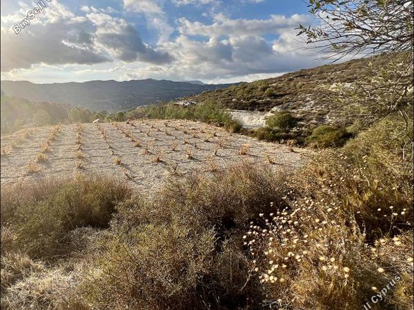 land for sale laneia limassol 8277425 image 13997879