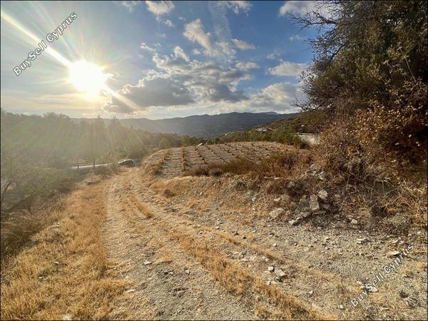 land for sale laneia limassol 8277425 image 13997880