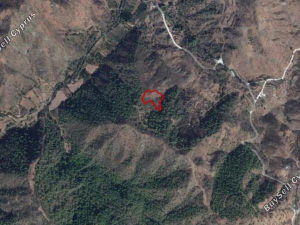land for sale pano pyrgos nicosia 830425 image 15664182