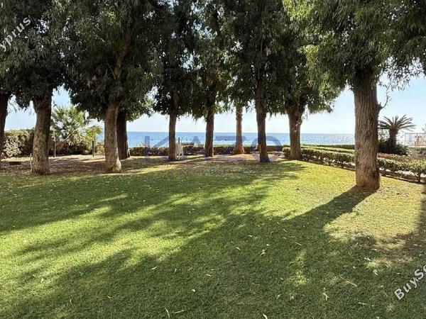 2 bedroom apartment for rent potamos germasogeias limassol 8716525 image 16299943