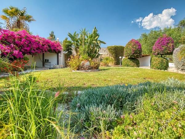 3 bedroom bungalow for sale anarita paphos 7736525 image 12549924