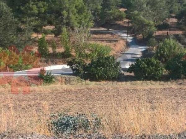 plot for sale mosfiloti larnaca 7921525 image 11218653