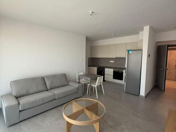 1 bedroom apartment for rent aglantzia nicosia 8765625 image 16564508