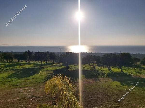 4 bedroom detached house for sale peyia paphos 7738625 image 12562491