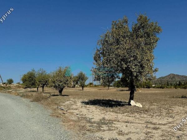 land for sale anglisides larnaca 1479625 image 5457271