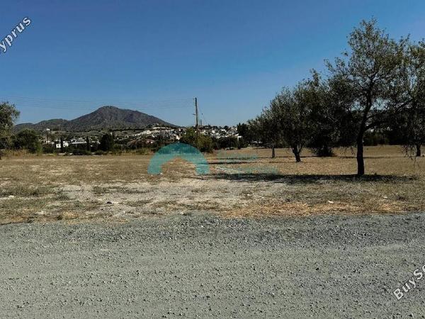 land for sale anglisides larnaca 1479625 image 5457280