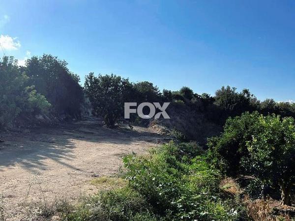 land for sale peyia paphos 1270625 image 10033841