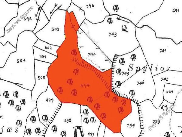 land for sale trahipedoula paphos 8592625 image 15729424