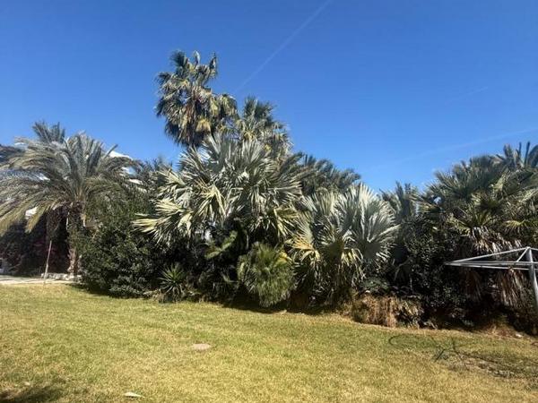 3 bedroom apartment for sale dekeleia larnaca 1722725 image 12598296