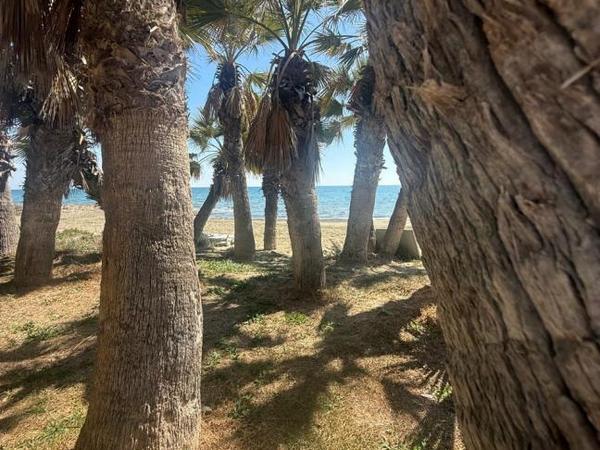 3 bedroom apartment for sale dekeleia larnaca 1722725 image 12598298