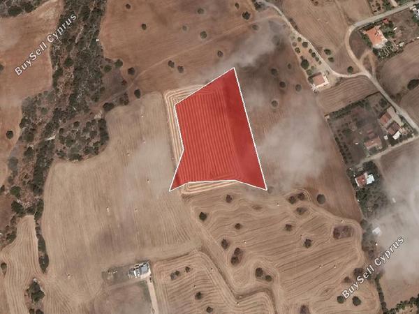 land for sale agios theodoros larnacas larnaca 7884725 image 13133682