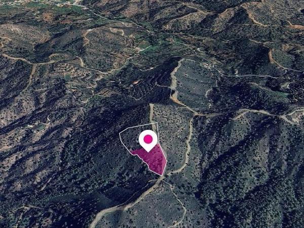 land for sale lythrodontas nicosia 8629725 image 15869642