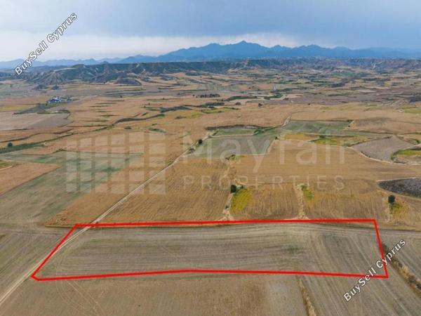 plot for sale pera orinis nicosia 8587725 image 15691803