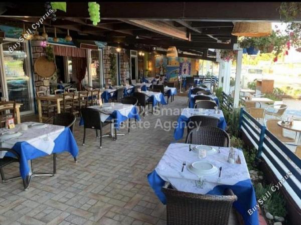 studio restaurant for sale ayia napa famagusta 1341725 image 7242050