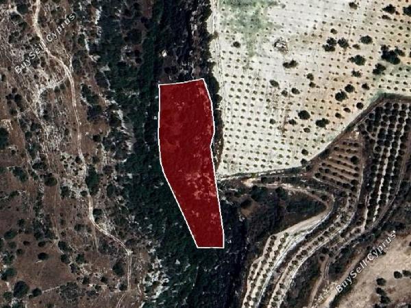 land for sale avdimou limassol 945825 image 15603441