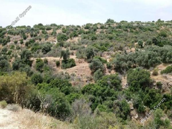 land for sale avdimou limassol 945825 image 15603443