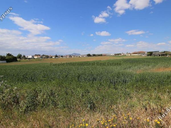land for sale kiti larnaca 7545825 image 15516860