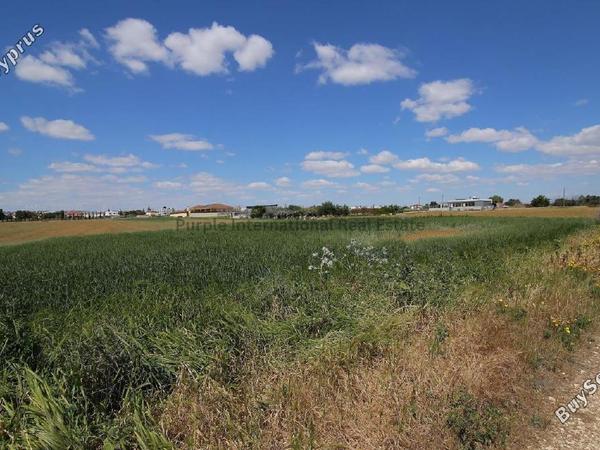 land for sale kiti larnaca 7545825 image 15516863