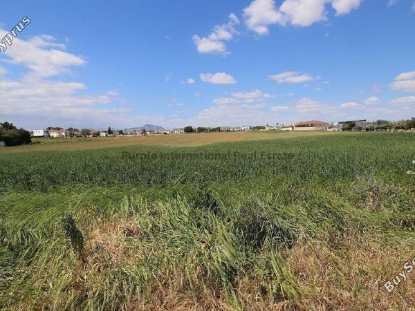 land for sale kiti larnaca 7545825 image 15516866