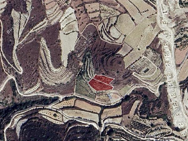 land for sale koili paphos 8174825 image 15596180