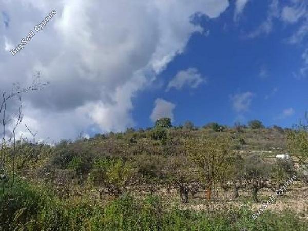 land for sale koili paphos 8174825 image 15596182
