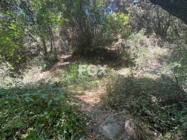 land for sale pano platres limassol 1147825 image 5561809