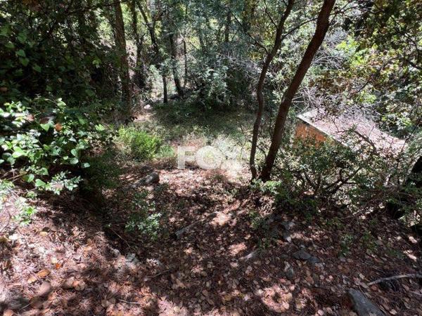 land for sale pano platres limassol 1147825 image 5561819