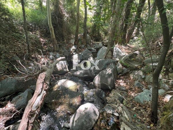 land for sale pano platres limassol 1147825 image 5561823