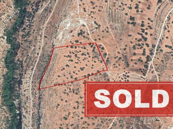 land sold prastio avdimou limassol 828825 image 680819