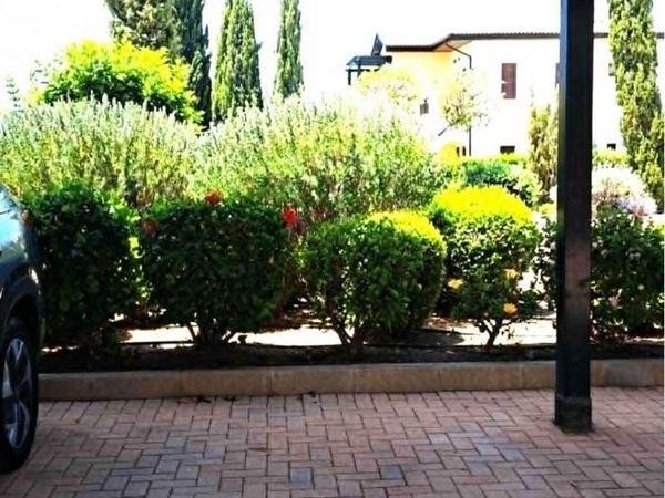 2 bedroom apartment for rent aphrodite hills paphos 8902925 image 17376242