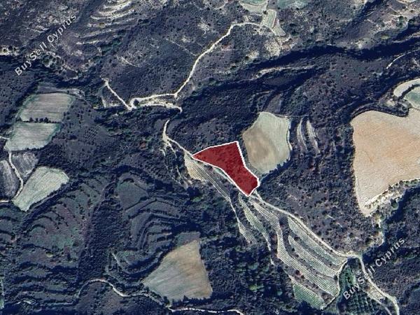 land for sale dora limassol 1657925 image 15597507