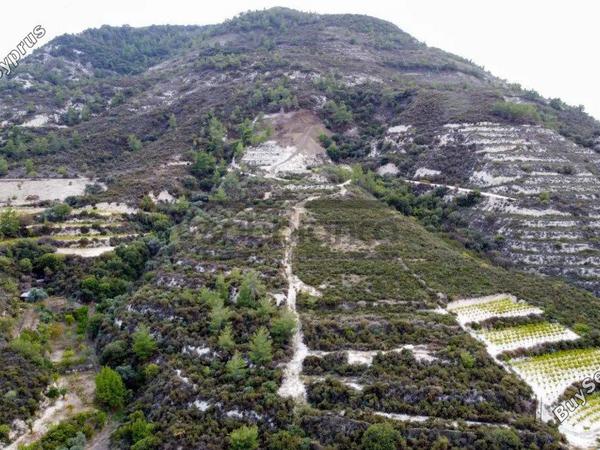 land for sale trimiklini limassol 8748925 image 16469887
