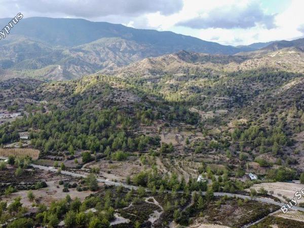 land for sale trimiklini limassol 8748925 image 16469888