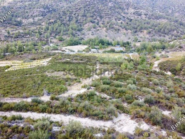 land for sale trimiklini limassol 8748925 image 16469890