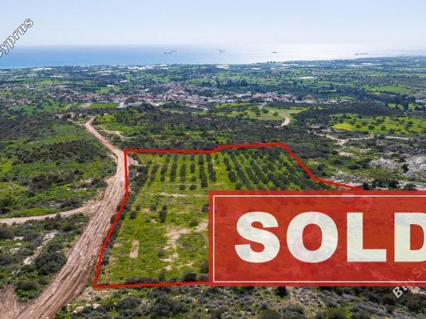 land sold maroni larnaca 8301925 image 14083774