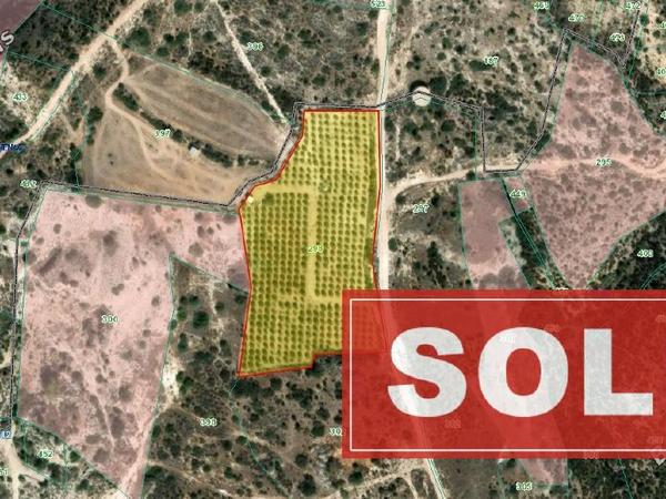 land sold maroni larnaca 8301925 image 14102283