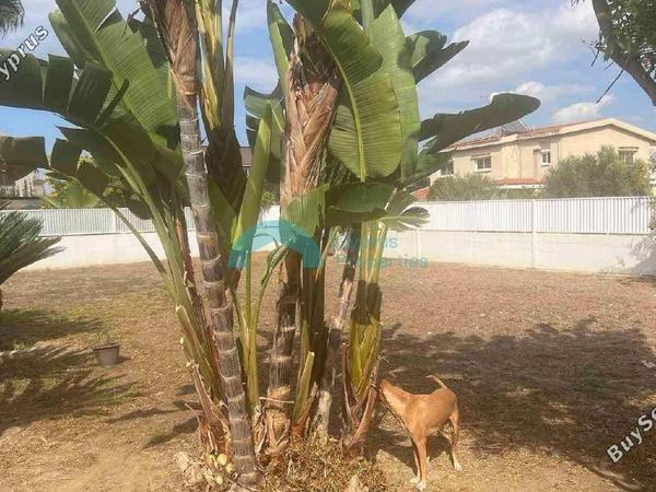 4 bedroom detached house for sale aradippou larnaca 1794035 image 5938468