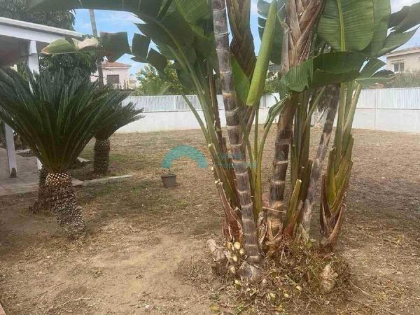 4 bedroom detached house for sale aradippou larnaca 1794035 image 5938470