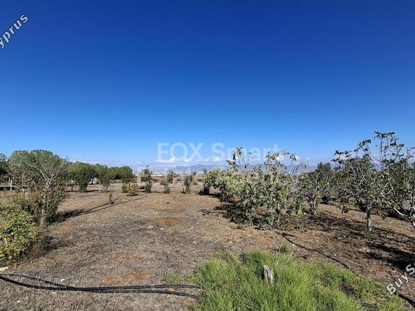 land for sale agios ioannis nicosias nicosia 1609035 image 7293541