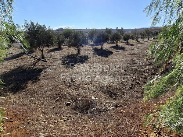 land for sale agios ioannis nicosias nicosia 1609035 image 7293551